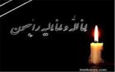 وزیر فرهنگ و ارشاد اسلامی در پیامی درگذشت ابوالفضل زرویی نصرآباد شاعر و طنز نویس کشورمان را تسلیت گفت.
