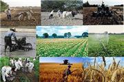 معافیت 17 قلم محصول کشاورزی از ممنوعیت صادرات به شرط تولید در مناطق آزاد