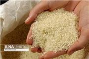 افزایش 100 درصدی قیمت برنج از شالیزار تا بازار
