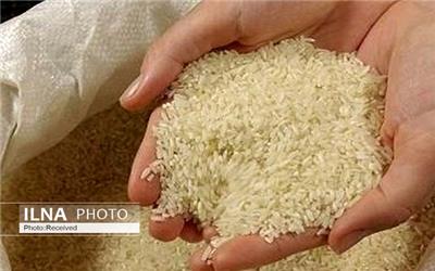 افزایش 100 درصدی قیمت برنج از شالیزار تا بازار