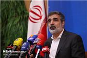 کمالوندی در جمع خبرنگاران: ایران حدود یک ماه دیگر گام سوم را برخواهد داشت ایران حدود یک ماه دیگر گام سوم را برخواهد داشت