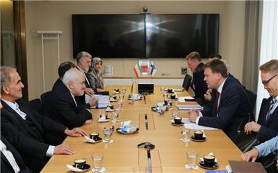 در دیدار با وزیر همکاری های توسعه ای و تجارت خارجی فنلاند؛ ظریف: اقدامات یکجانبه آمریکا محدود به ایران نخواهد ماند