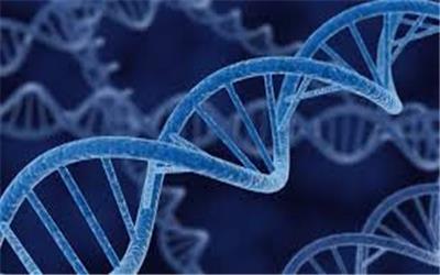 شناسایی مشخصات ژنتیکی گستره ژنومی جمعیت ایرانی
