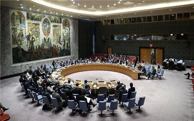 شورای امنیت فردا نشستی درباره حمله ترکیه به شمال سوریه برگزار می‌کند