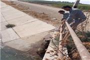 نجات گراز های گرفتار در کانال تامین آب کشاورزی شوش