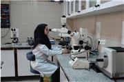 فرسودگی شغلی بانوان ایرانی بالاست/ضرورت برنامه ریزی ملی برای افزایش سهم زنان در جامعه