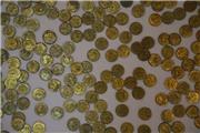 170 سکه تقلبی در دزفول ضبط شد