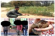 دستگیری متخلفین زنده گیری پرندگان وحشی در پارک ملی دز