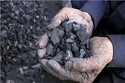 قاچاقچی زغال در پارک ملی دز دستگیر شد