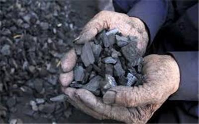 قاچاقچی زغال در پارک ملی دز دستگیر شد