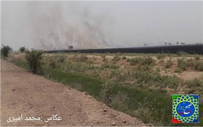 آتش زدن مزارع کشاورزی در حومه شهر امام خمینی بر خلاف قانون ممنوعیت