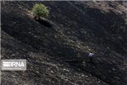آتش‌سوزی در مراتع و جنگلکاری های مسجدسلیمان مهار شد