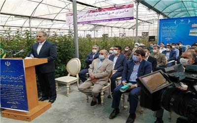 بهره برداری از طرح‌های ملی وزارت جهاد کشاورزی با فرمان رئیس جمهوری آغاز شد