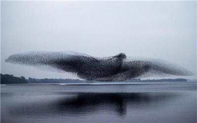 ابری از سارها جاودانه شد وقتی که شبح پرنده ای بزرگ با بالهای دراز را تشکیل می داد.
