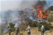 آتش سوزی در جنگل‌های سالن کوه دزفول، فریادرس می طلبد