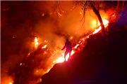 مدیرکل مدیریت بحران کهگیلویه و بویراحمد: تلاش‌ها برای مهار آتش سوزی جنگل‌های «کوه شره» کهگیلویه ادامه دارد