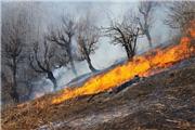مهار آتش سوزی در 35 هکتار از جنگل های کرخه شهرستان شوش