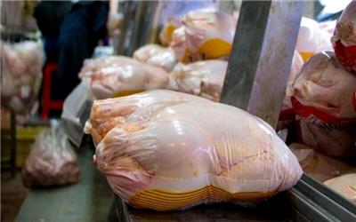 کاهش قیمت مرغ وتخم مرغ در ماه آتی