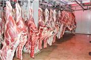 رئیس اتحادیه: گوشت گوسفندی خریدار ندارد