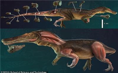 شناسایی یک دایناسور جدید و عجیب