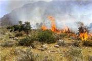 آتش سوزی در منابع طبیعی ساری و میانکاله