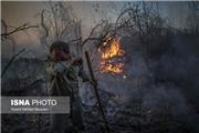 آتش سوزی در پارک ملی کرخه