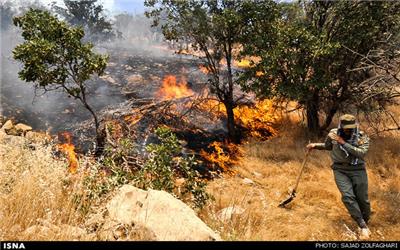 فرماندار گچساران: آتش سوزی جنگل‌های ارتفاعات منطقه حفاظت شده خامی همچنان ادامه دارد