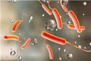 شناسایی 26 مورد ابتلا به وبا در خوزستان طی سالهای گذشته
