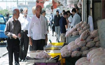 علت گرانی مرغ در خوزستان چیست ؟