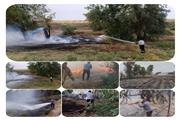 کشاورزان، قاتلان عمد پرونده های آتش سوزی های سریالی در شهرستان شوش