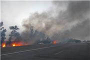 مهار آتش سوزی درختان حاشیه جاده شوش-اهواز پس از 12 ساعت