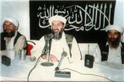 القاعده و افول «پروژه جهانی» بن لادن القاعده و افول «پروژه جهانی» بن لادن