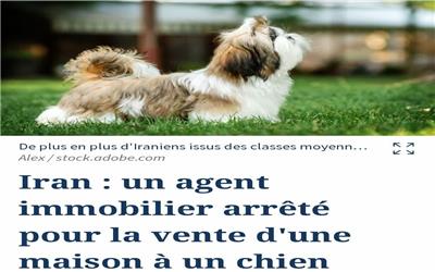 ایران از نگاه فرانسه : بازتاب خبر دستگیری یک مشاوراملاک در ایران به دلیل فروش خانه به یک سگ