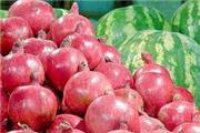 مدیرکل دفتر میوه‌های گرمسیری و نیمه‌ گرمسیری اعلام کرد انار شب یلدا تامین است/ ایران رتبه سوم تولید انار در جهان
